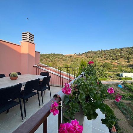 Apartamentos La Flor San Martin de Moncayo Екстер'єр фото