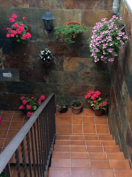 Apartamentos La Flor San Martin de Moncayo Екстер'єр фото