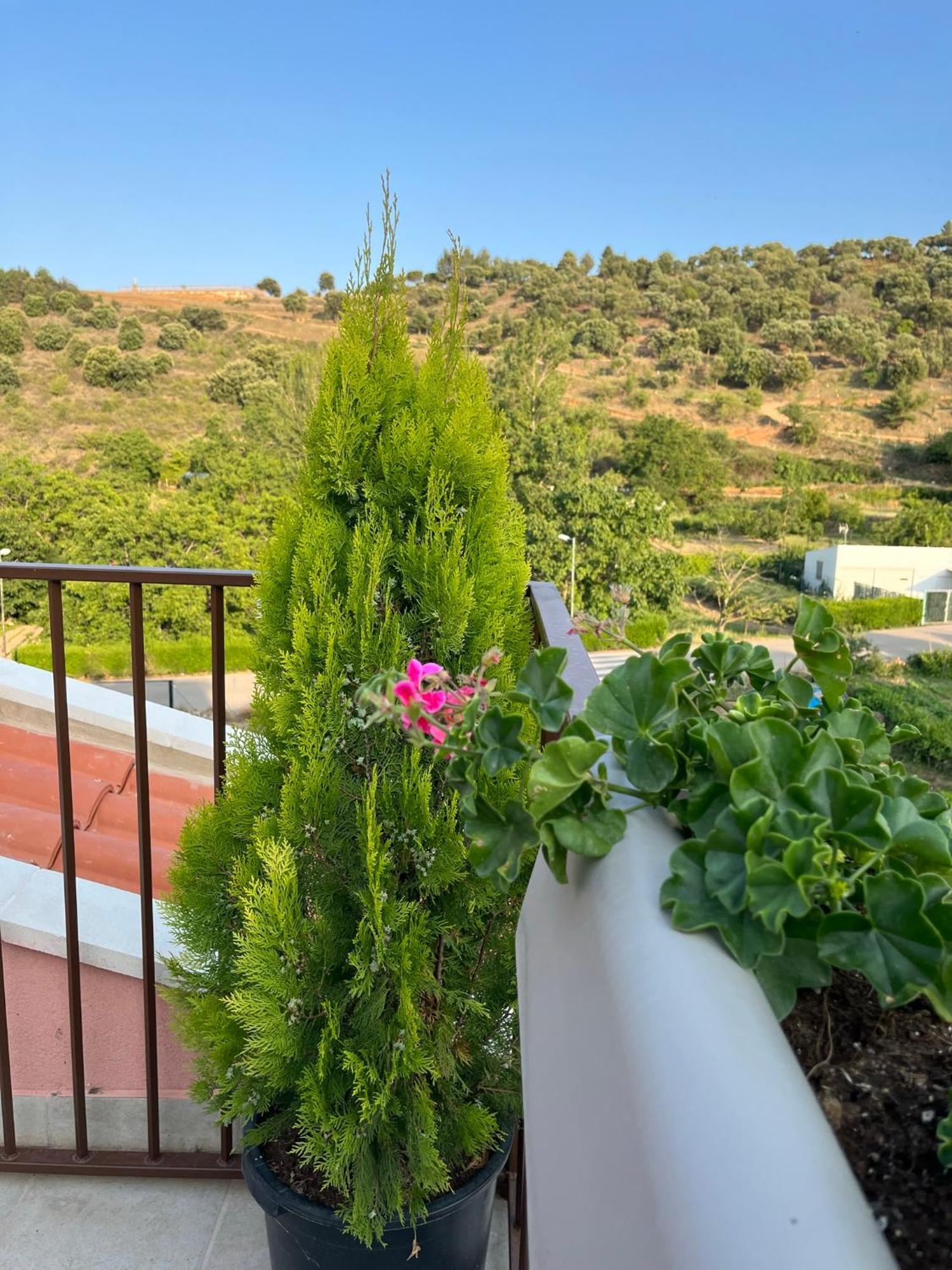 Apartamentos La Flor San Martin de Moncayo Екстер'єр фото